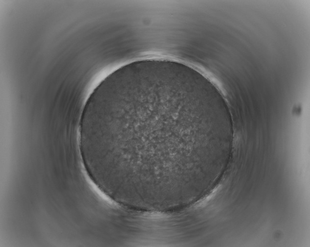 X0000092081239200709191218