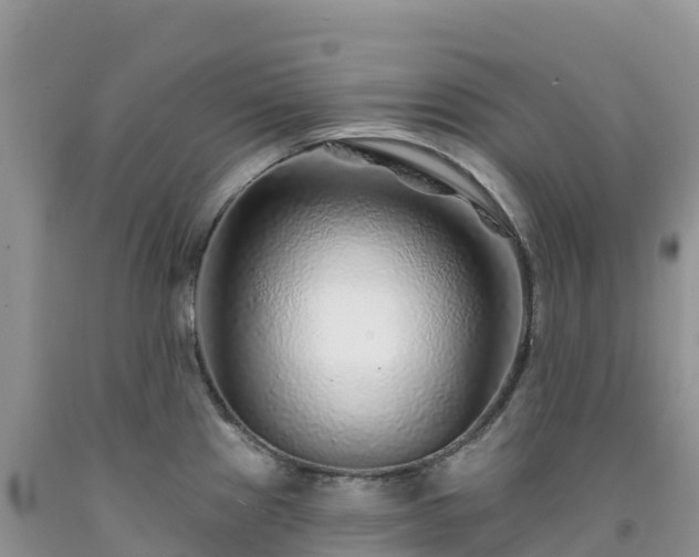 X0000092081241200709191218