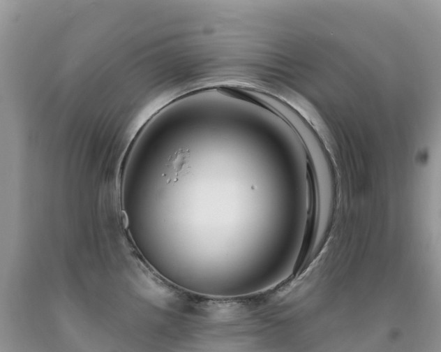 X0000092081242200709191218