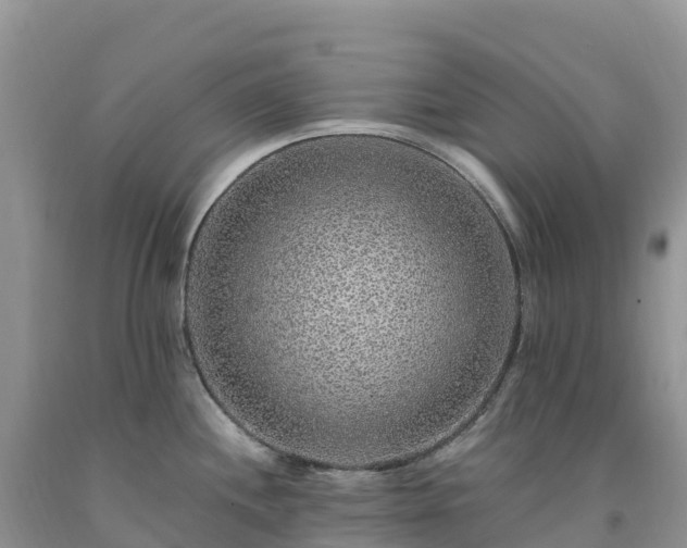 X0000092081244200709191218