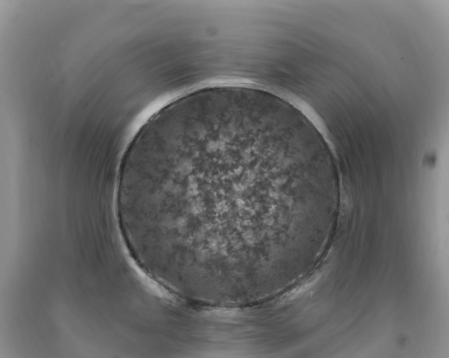 X0000092081245200709191218