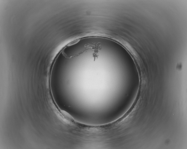 X0000092081246200709191218