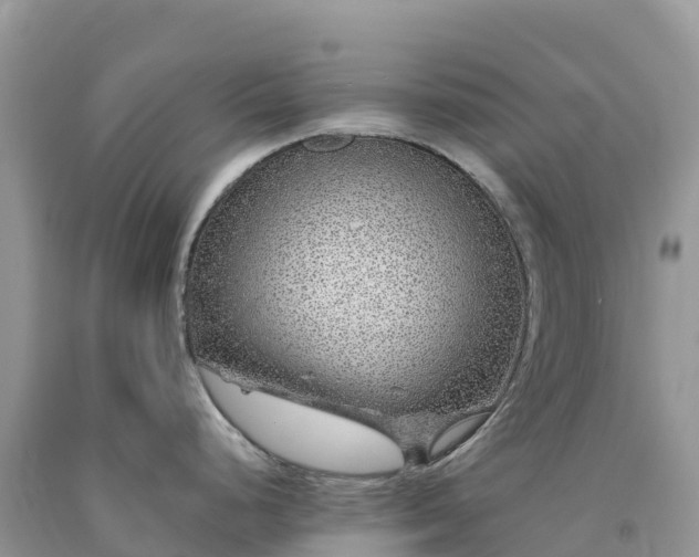 X0000092081248200709191218