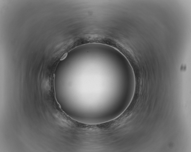 X0000092081250200709191218