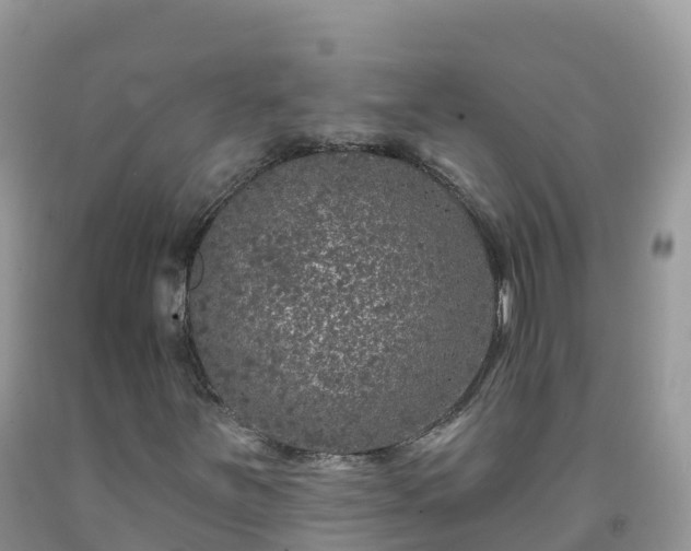 X0000092081251200709191218