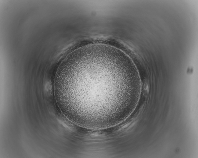 X0000092081252200709191218