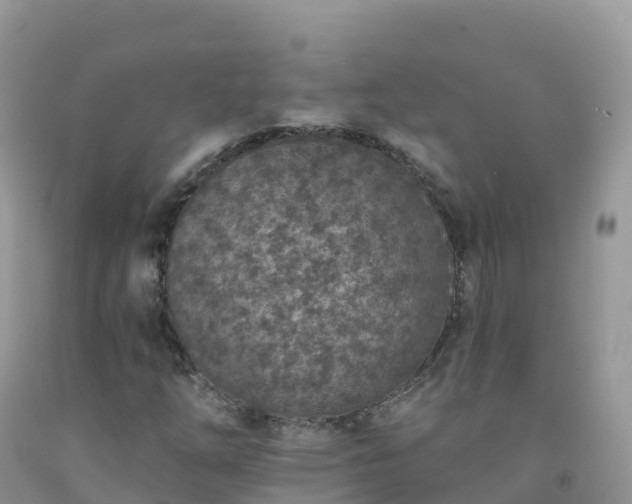 X0000092081254200709191218