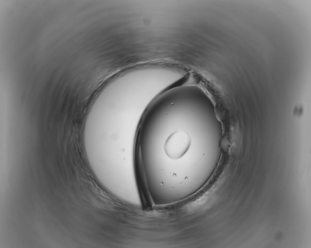 X0000092081257200709191218