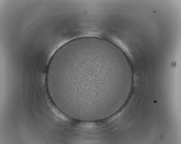 X0000092081260200709191218