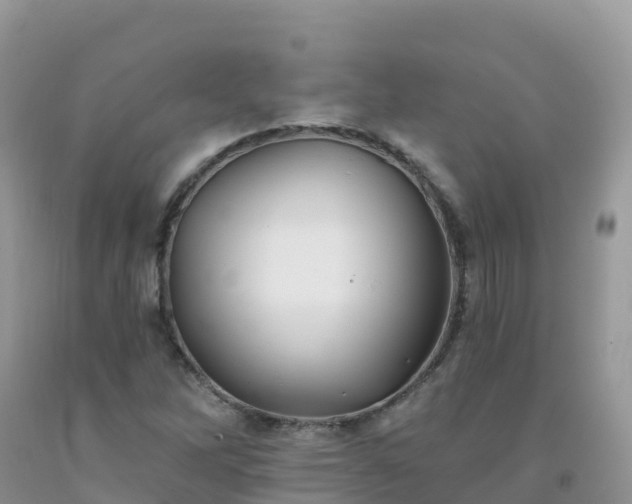 X0000092081262200709191217