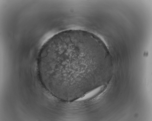 X0000092081263200709191217
