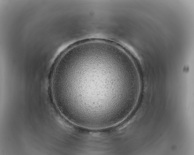 X0000092081264200709191217