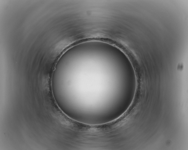 X0000092081265200709191217