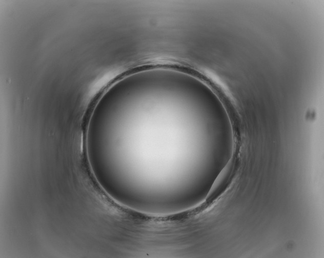 X0000092081269200709191217