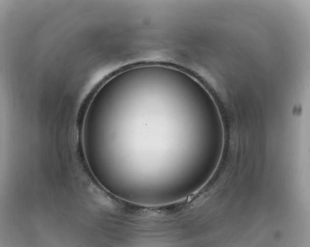 X0000092081270200709191217