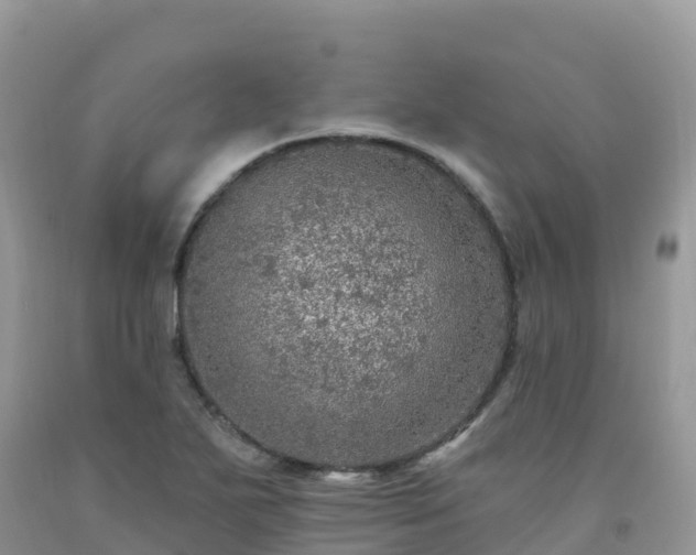 X0000092081271200709191217