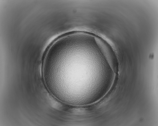 X0000092081272200709191217