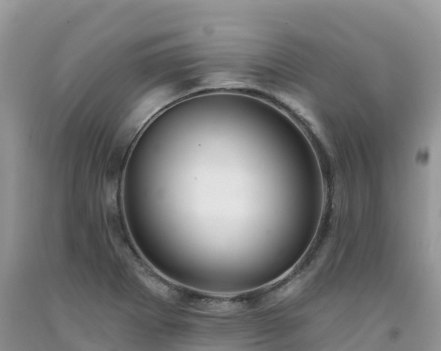 X0000092081273200709191217