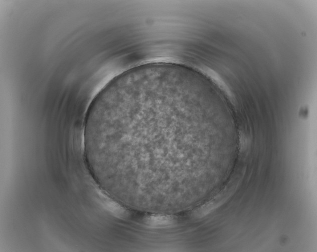 X0000092081274200709191217