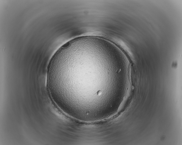 X0000092081276200709191217