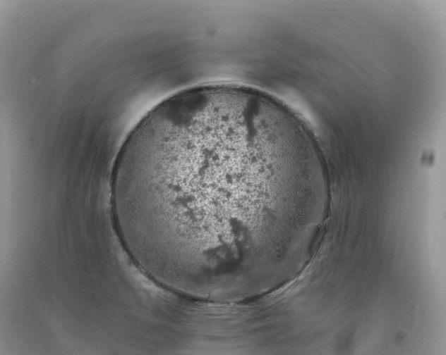 X0000092081279200709191217
