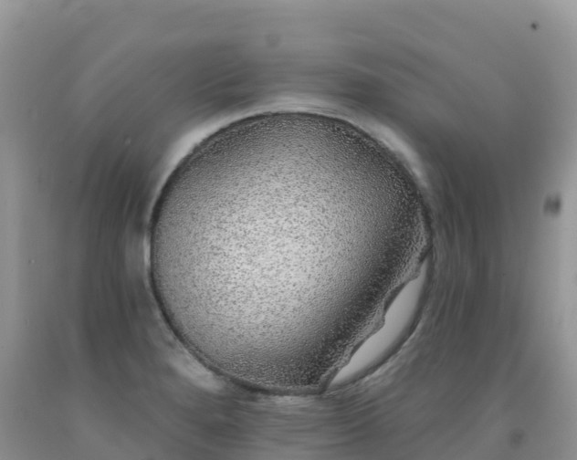 X0000092081280200709191217