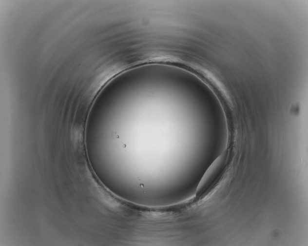 X0000092081281200709191217