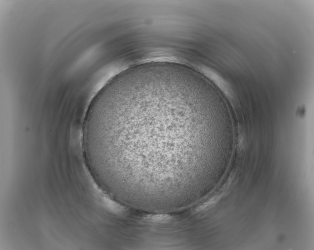 X0000092081282200709191217