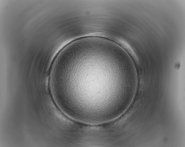 X0000092081284200709191217