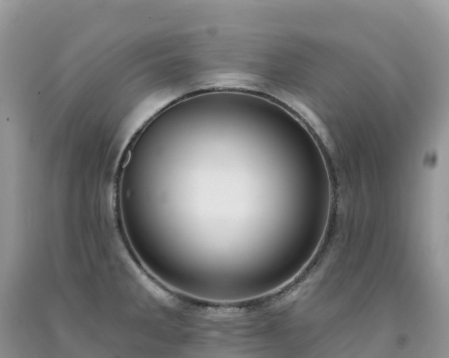 X0000092081285200709191217