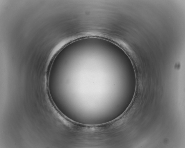 X0000092081286200709191217