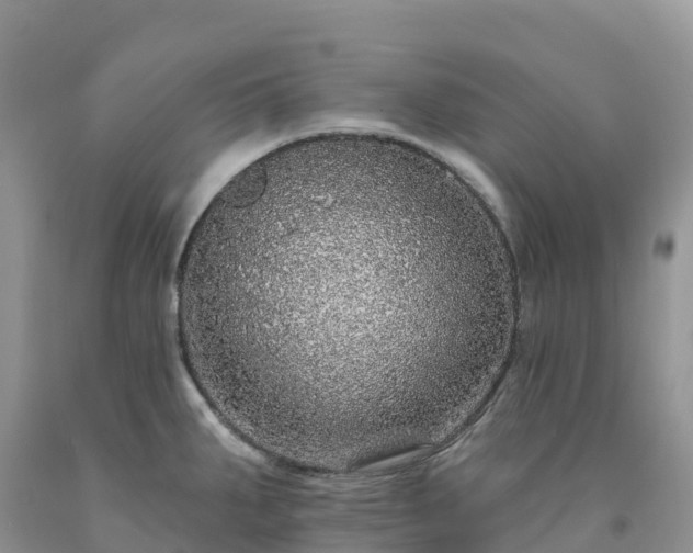 X0000092081287200709191217