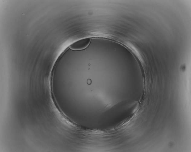 X0000092081291200709191217