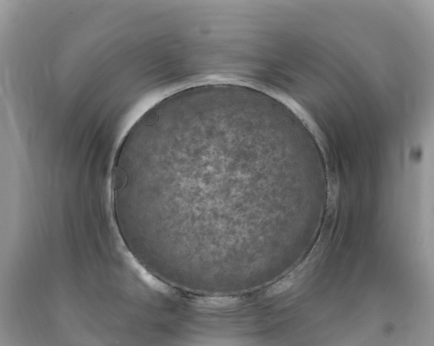 X0000092081294200709191217