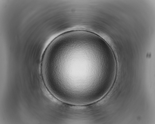 X0000092081296200709191217
