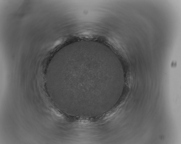 X0000092081297200709191216