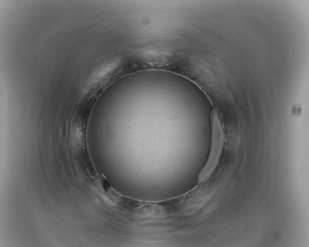 X0000092081298200709191216