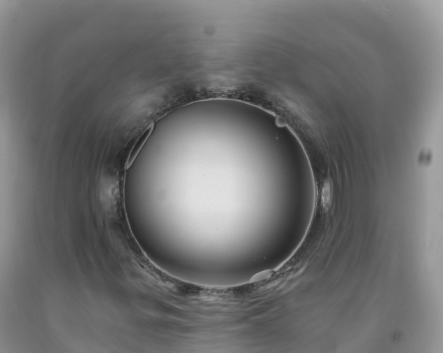 X0000092081299200709191216