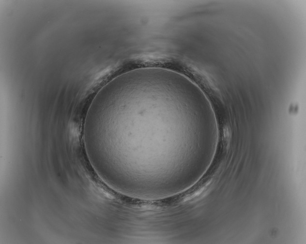 X0000092081300200709191216