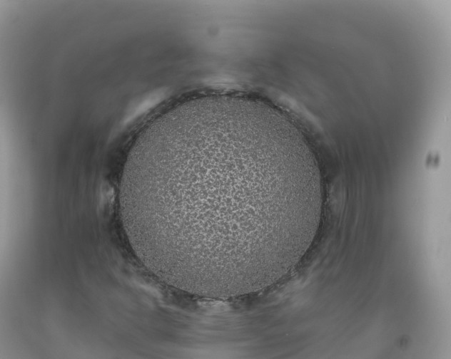 X0000092081302200709191216