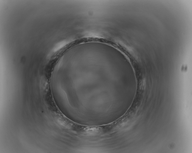 X0000092081303200709191216