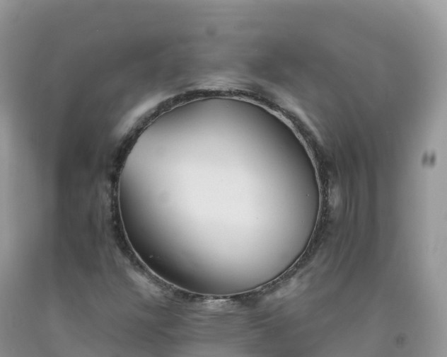 X0000092081304200709191216