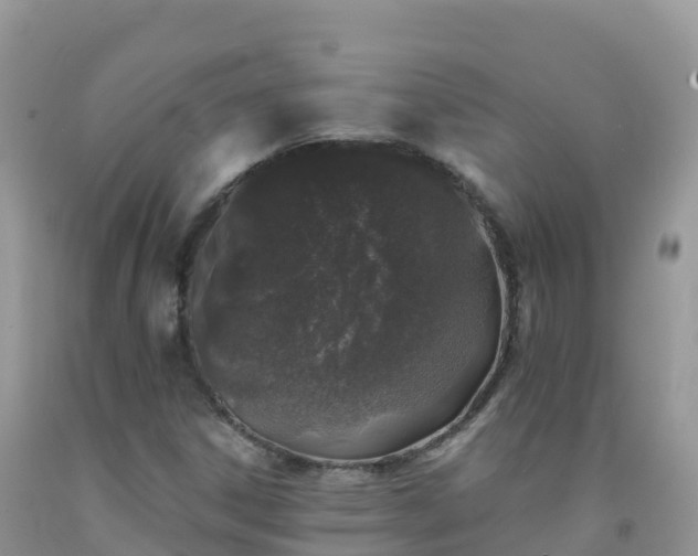 X0000092081306200709191216