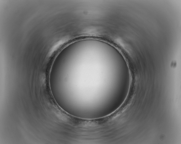 X0000092081307200709191216
