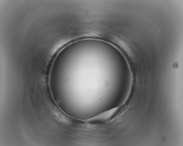 X0000092081308200709191216
