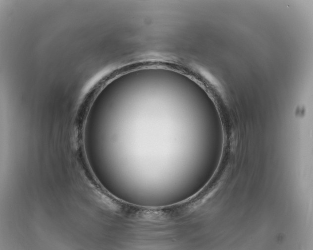 X0000092081310200709191216
