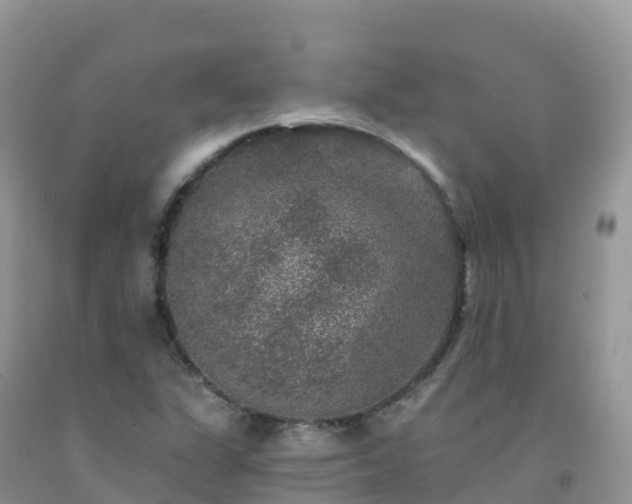 X0000092081311200709191216