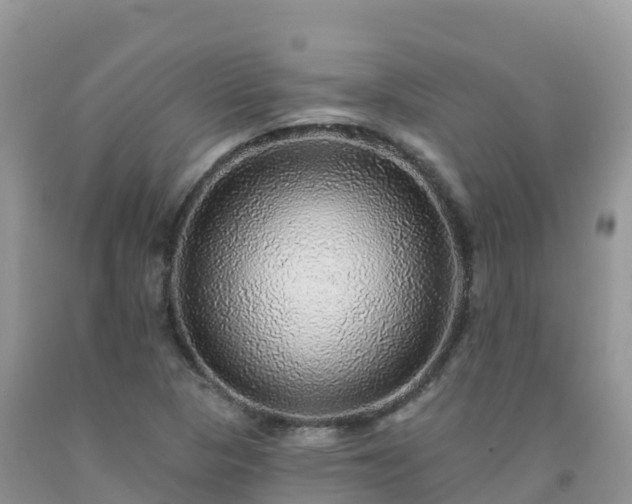 X0000092081313200709191216