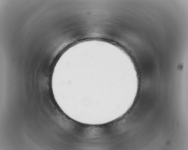 X0000092081314200709191216