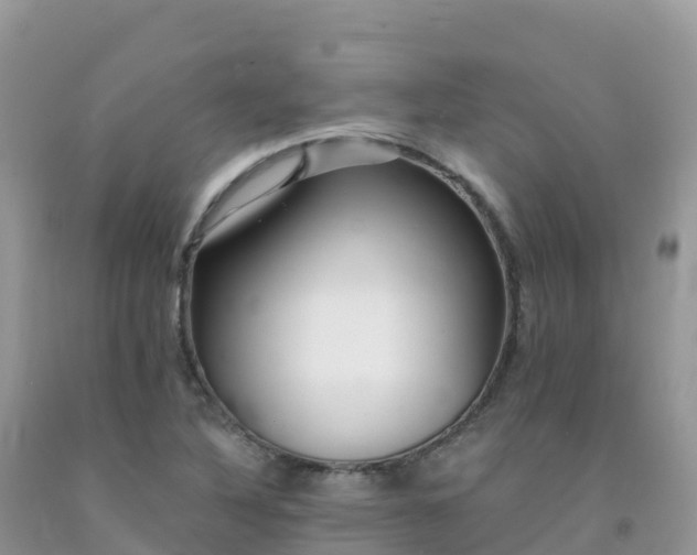 X0000092081316200709191217